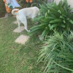 WhatsApp Image 2025-12-20 at 12.48.04 PM (2) WhatsApp Image 2025-12-20 at 12.48.04 PM (2)