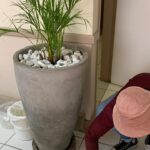 WhatsApp Image 2025-12-20 at 12.48.08 PM (2) WhatsApp Image 2025-12-20 at 12.48.08 PM (2)