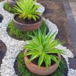 WhatsApp Image 2025-12-20 at 12.48.11 PM (1) WhatsApp Image 2025-12-20 at 12.48.11 PM (1)