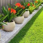 WhatsApp Image 2025-12-20 at 12.48.11 PM WhatsApp Image 2025-12-20 at 12.48.11 PM