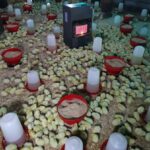 WhatsApp Image 2025-12-20 at 12.48.12 PM (1) WhatsApp Image 2025-12-20 at 12.48.12 PM (1)