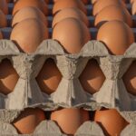 pexels-couleur-31679608