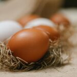 pexels-klaus-nielsen-6294144