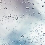 pexels-lum3n-44775-1028600